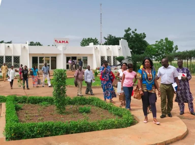 Microfinances vs Banques au Gabon : lequel choisir selon ta situation ?